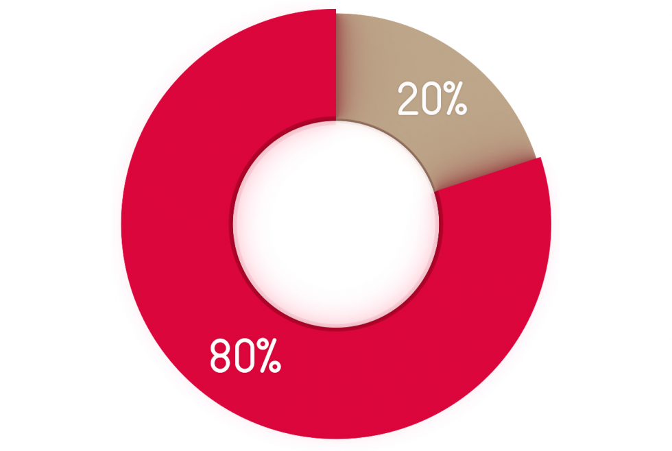 20 на диаграмме. Диаграмма 90 процентов. Круговая диаграмма 80%. Диаграмма 90 на 10. Диаграмма 80 на 20.